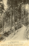 Remiremont. - Le Sentier des Gardes